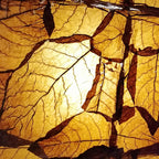 Havana - Candela Profumata