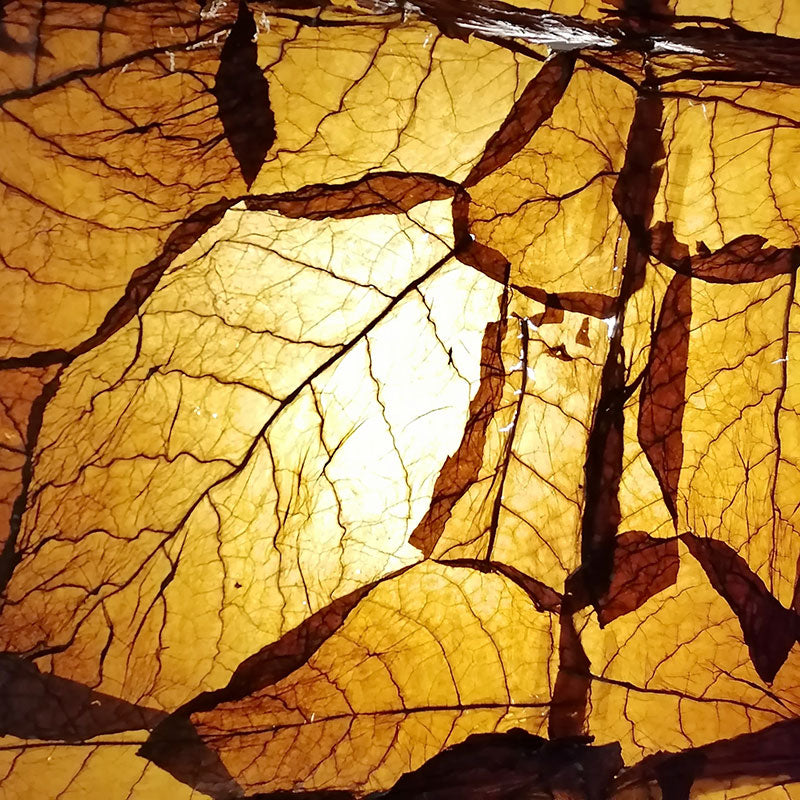 Havana - Candela Profumata